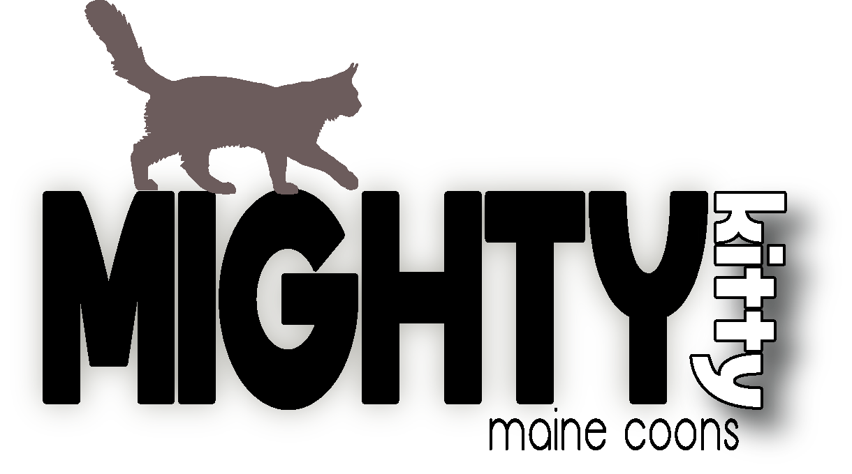 Mighty Kitty Maine Coons logo